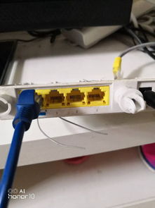 電視寬帶線如何連接電腦？解決“未插入網線”問題指南